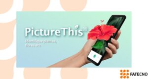 app para identificar plantas picture this